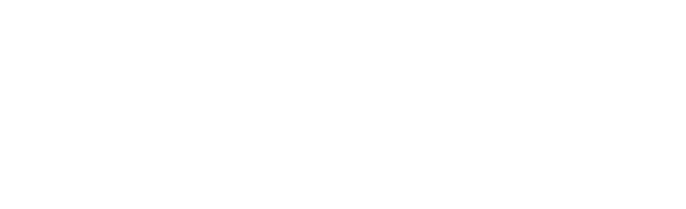 adeptaudio
